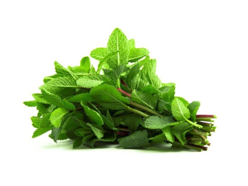 Aromáticas