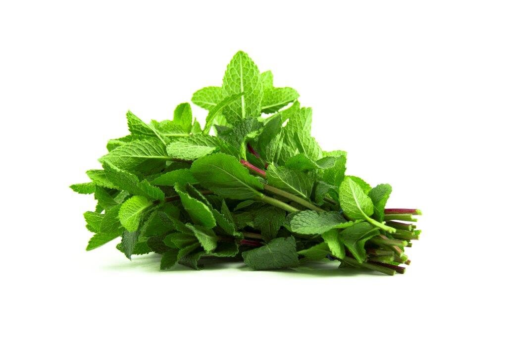 Aromáticas