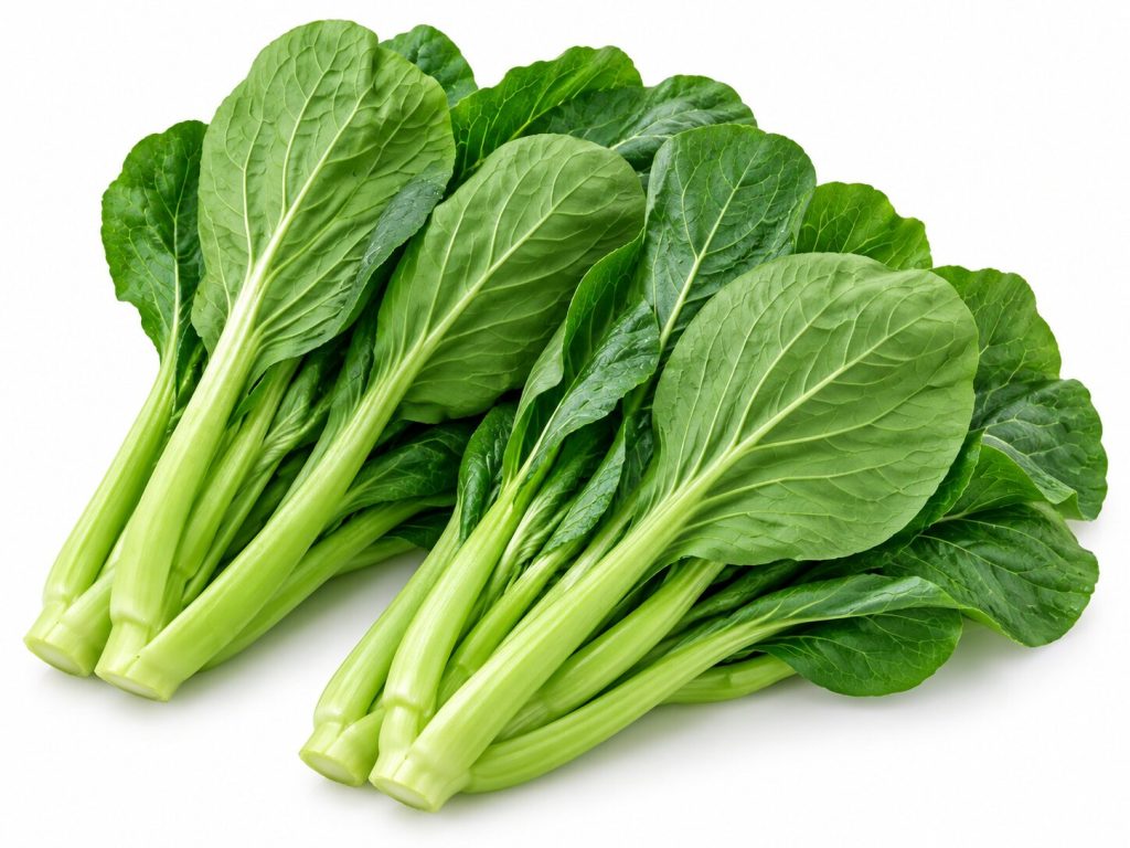 Hortalizas