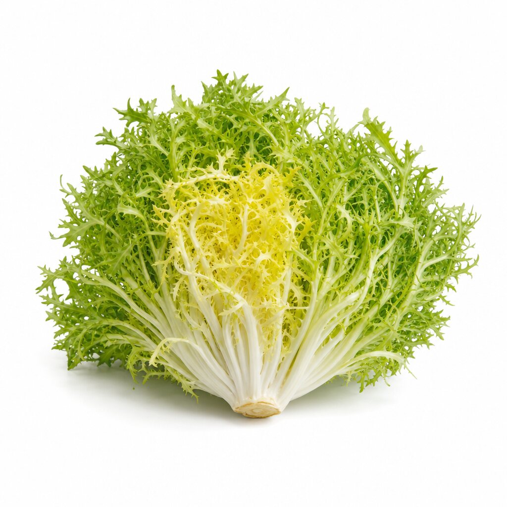 Curly endive