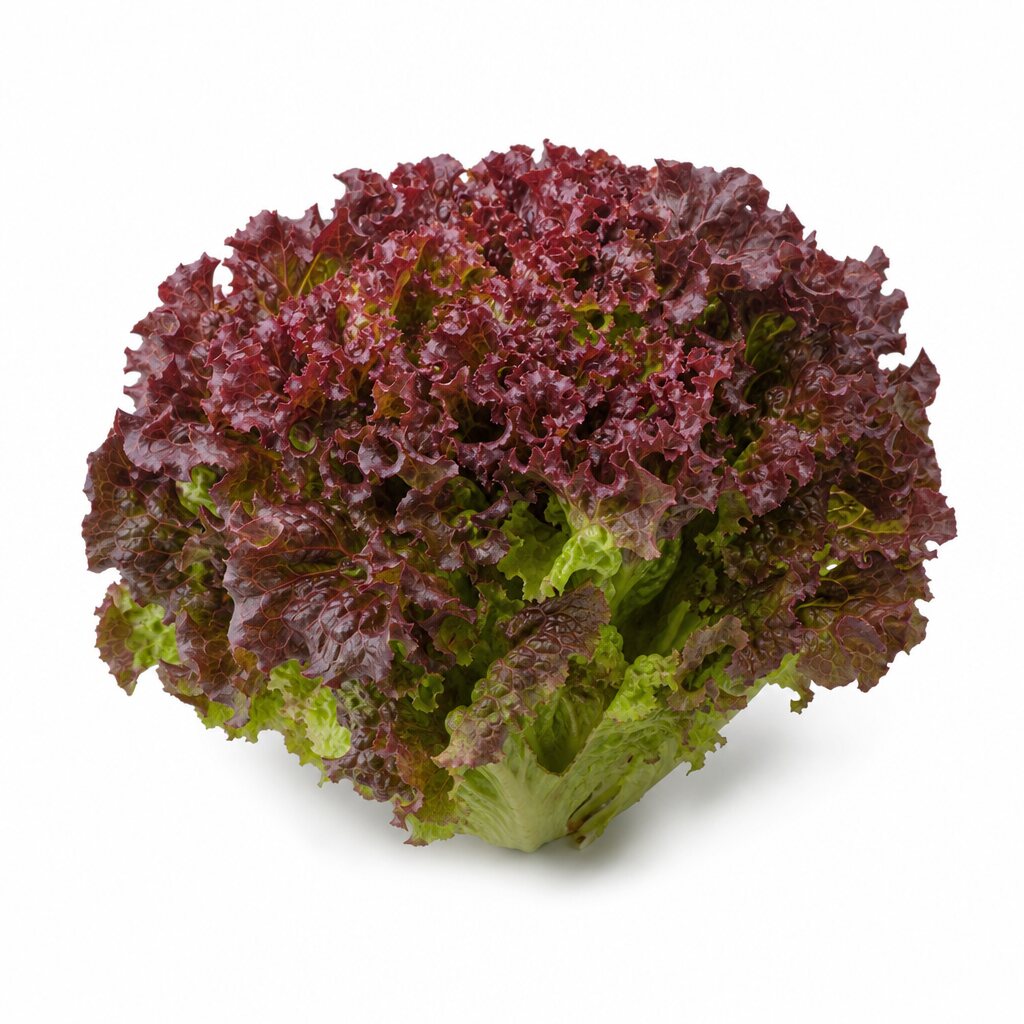 Red mixed leaves (Crispy Red)